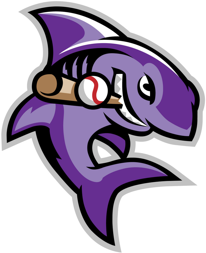 Marthas Vineyard Sharks 2012-Pres Mascot Logo iron on transfers for T-shirts